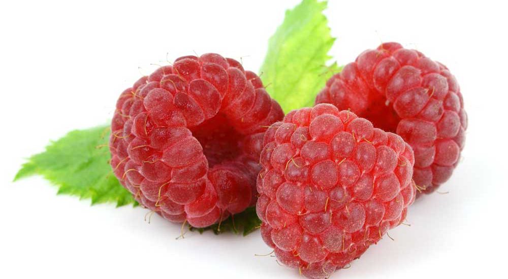Himbeere
