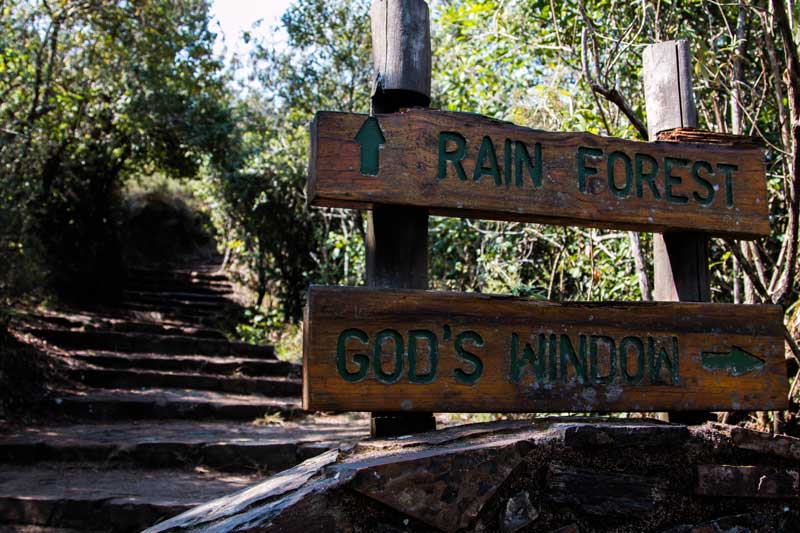 sign rain forest - South Africa vacation