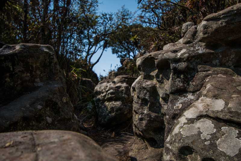 rocks @ God's Window rain forest - South Africa vacation