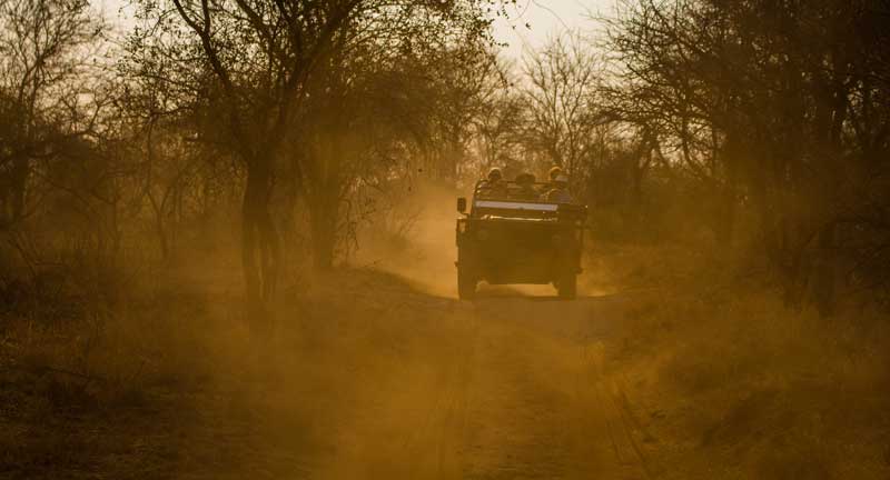 South Afrika - Kruger National Park - vacation