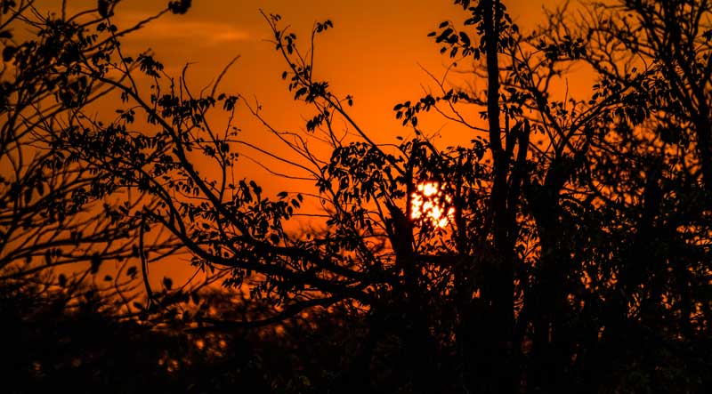 South Afrika - Kruger National Park - vacation