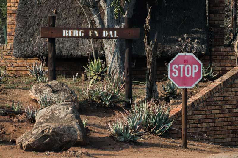 South Africa: Leaving Gomo Gomo Lodge to Berg-en-dal Rest Camp / Kruger National Park (day 6)